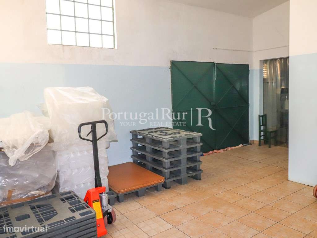 Unidade Industrial de Produção de Azeite & Elevado Potencial Produtivo-25