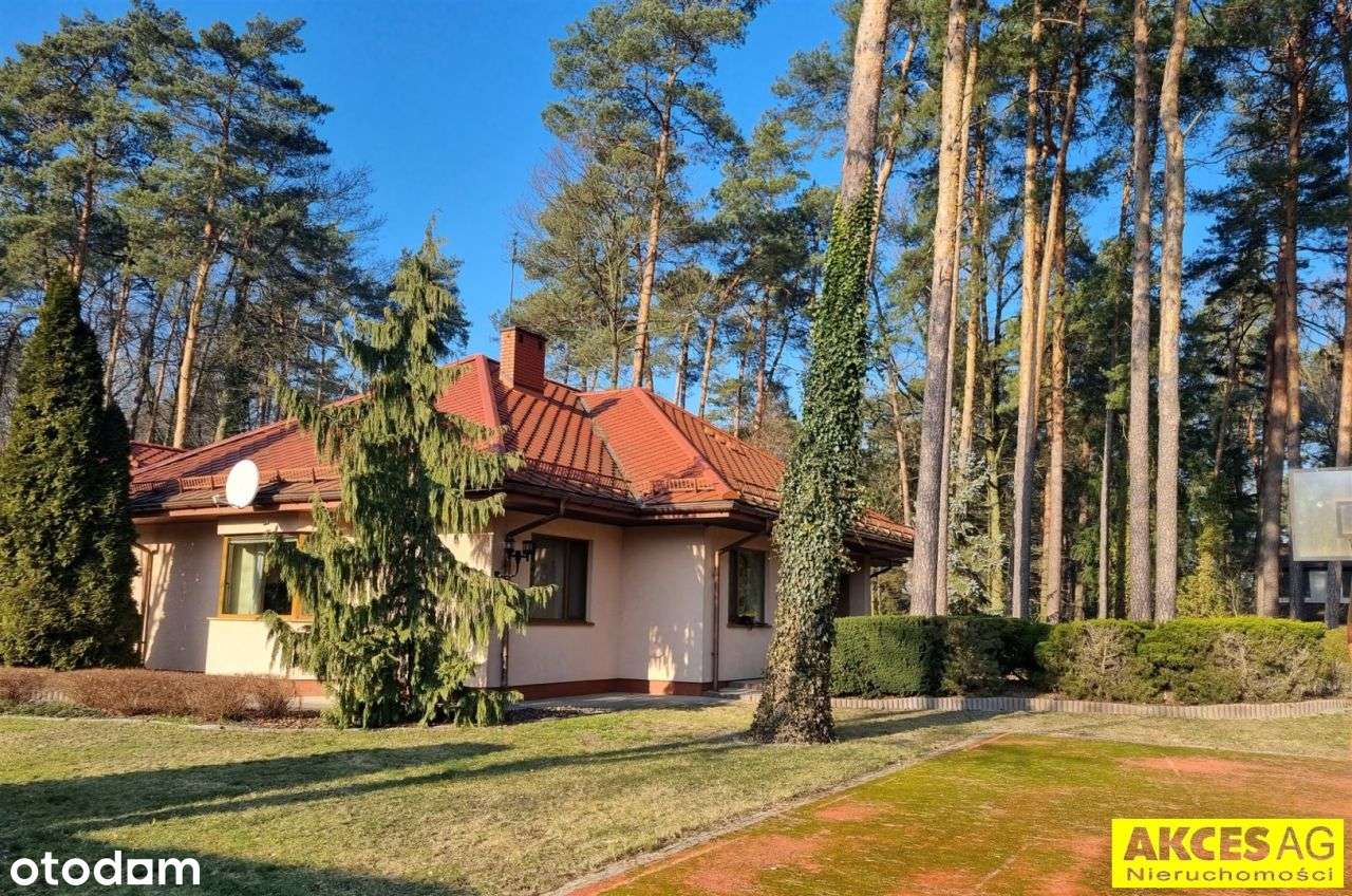 Parterowy, działka 3400 m2, 4 sypialnie, Grotniki - Pełny obrazek: 4/20