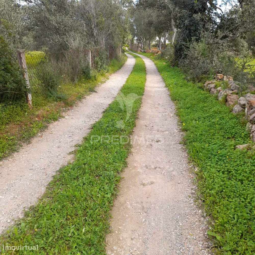 Terreno Rustico  perto de Olhão - Grande imagem: 2/6