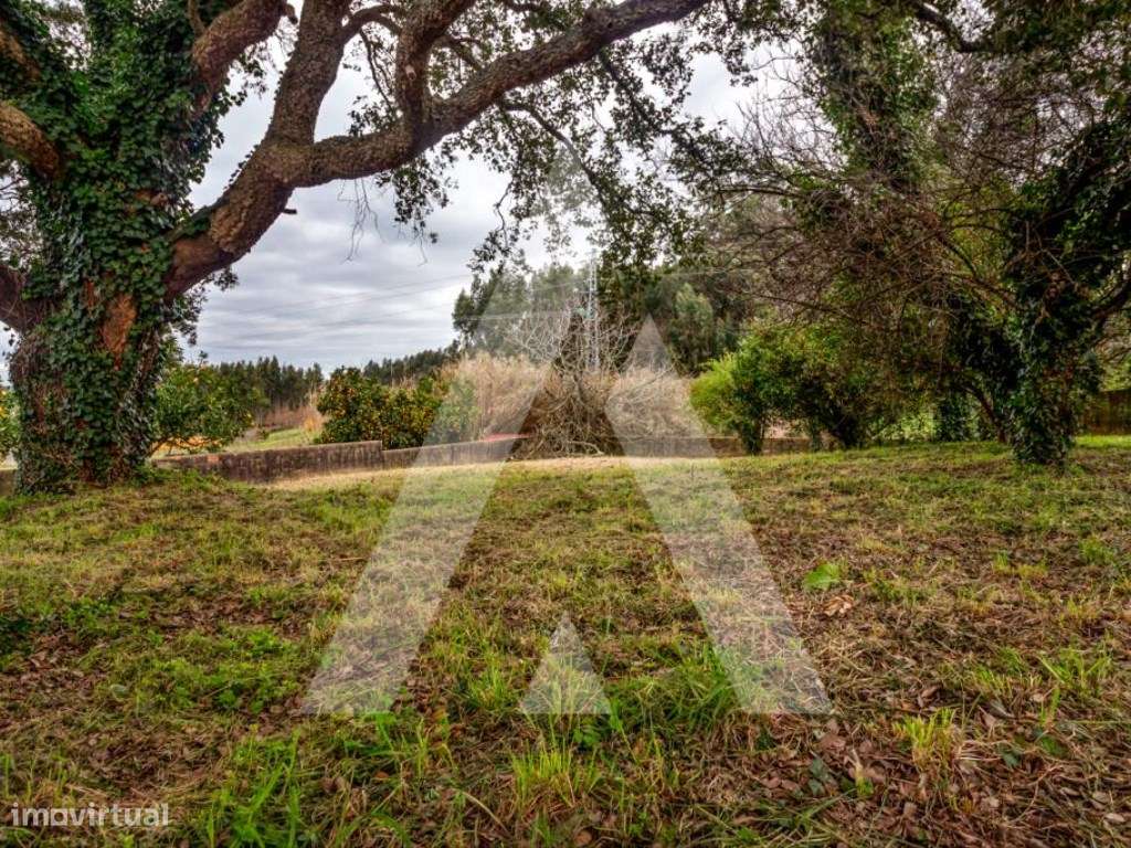 Lote de Terreno para construção de moradia na Sra. Do Monte - Salreu-11