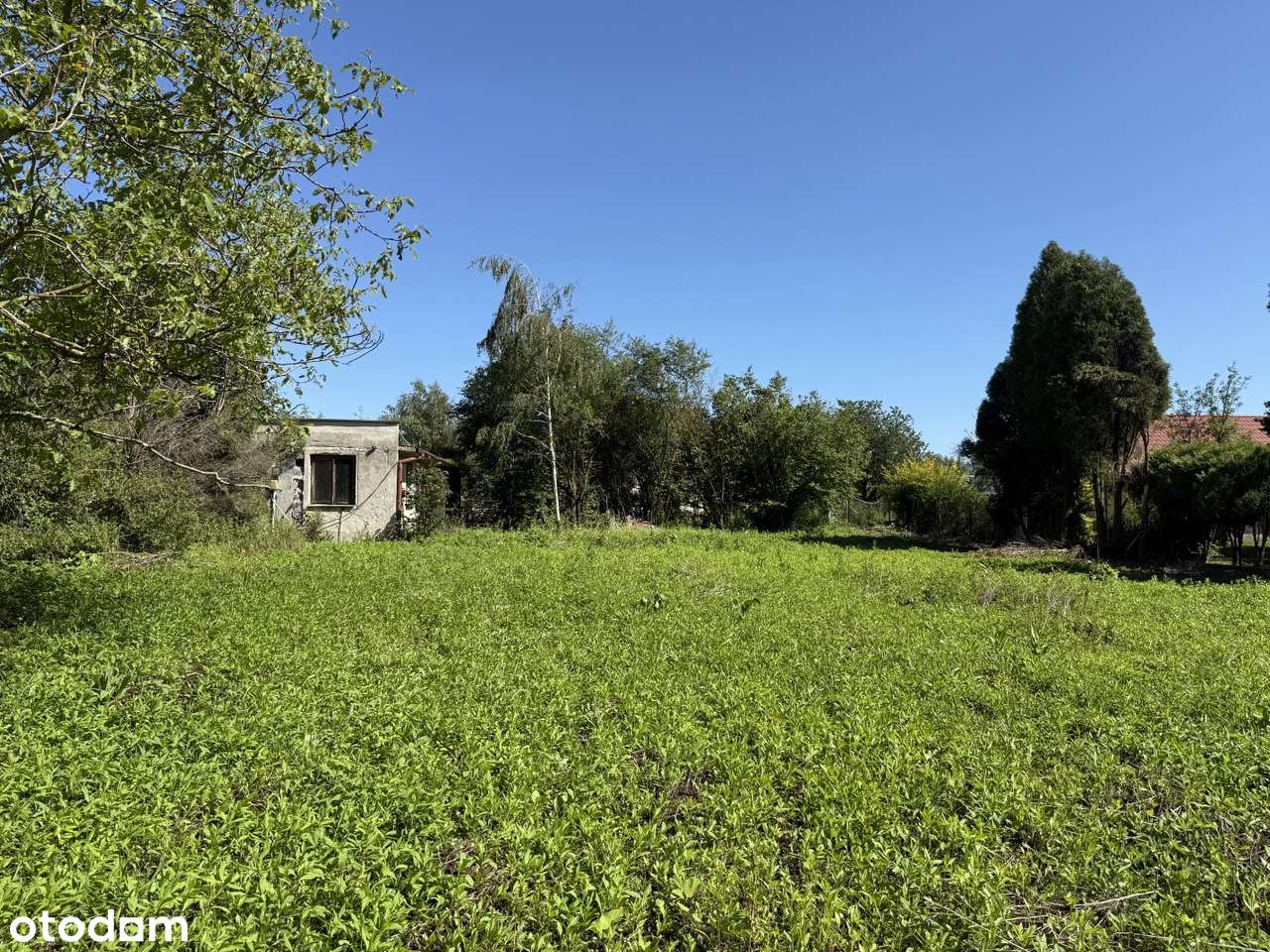 Działka budowlana 15 ar - Pełny obrazek: 4/7