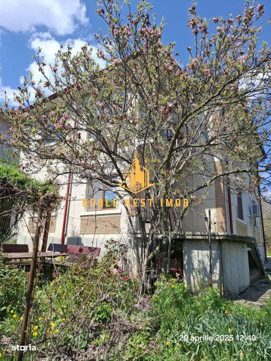 Vila 7 camere, Strada TRIVALE, Teren 1150 mp - COMISION 0%-11
