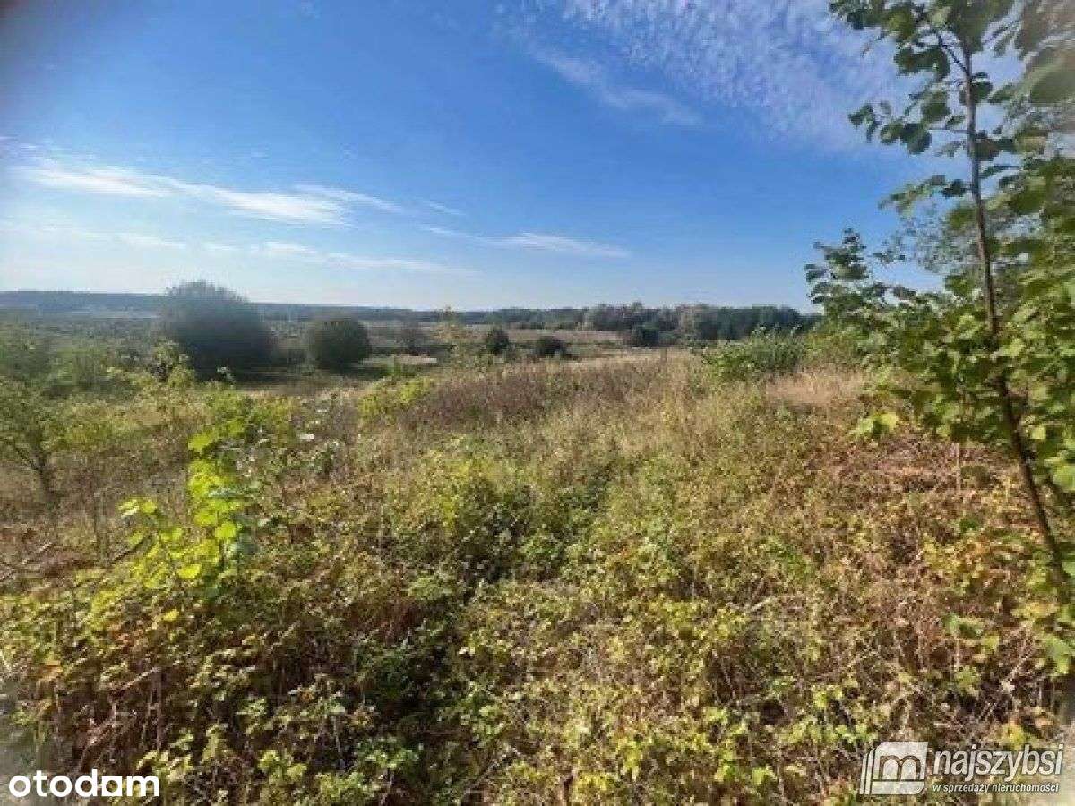 Żółwia Błoć-działka z warunkami zabudowy 1378 m2 - Pełny obrazek: 5/11