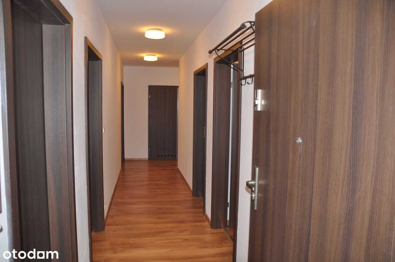 Pokój 14 m² na Winogradach (bez pośredników) - Mehr