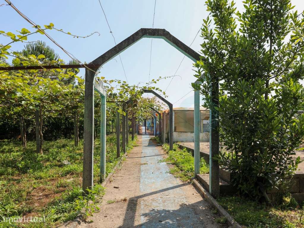 Quintinha em Famalicão-53