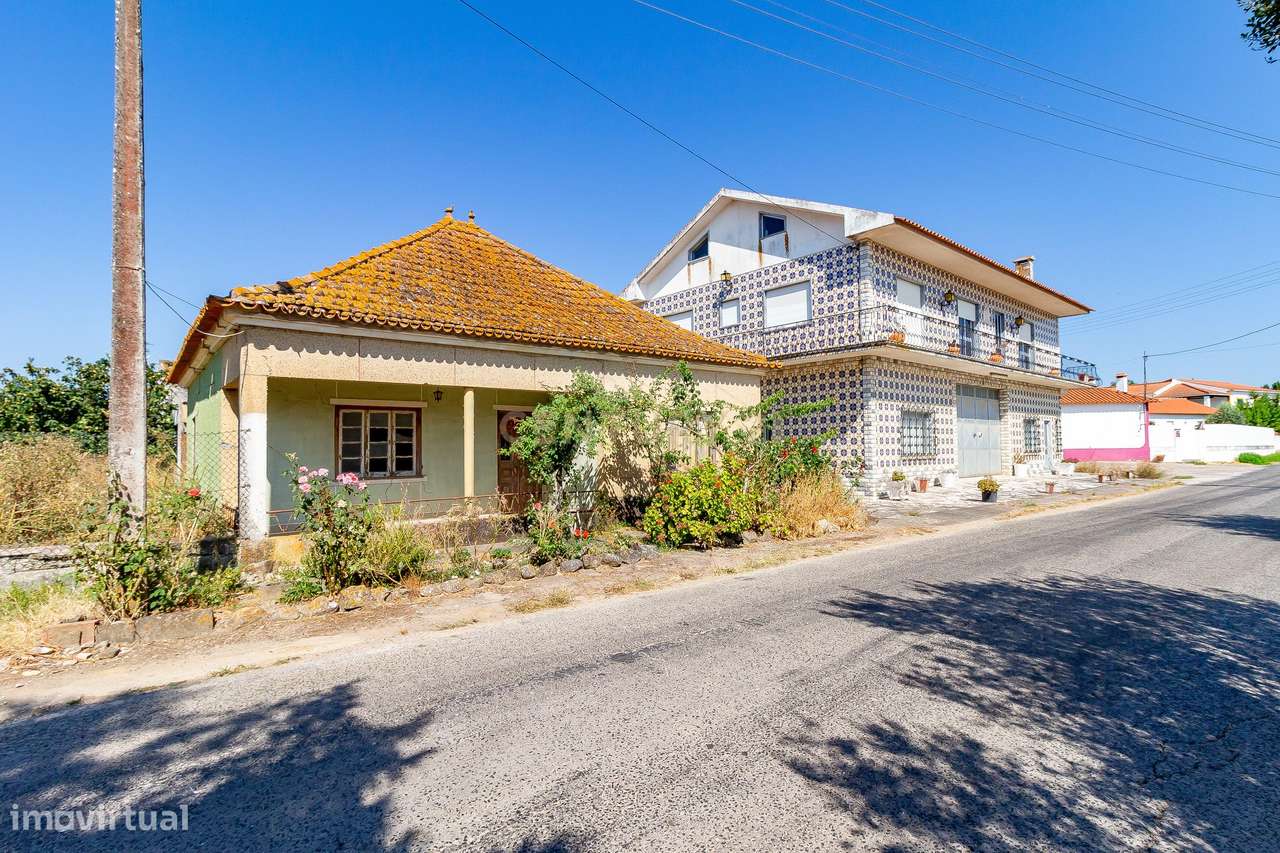 Moradia com Anexos, Armazém e Terreno Agrícola ,São Vicente do Paul –-15