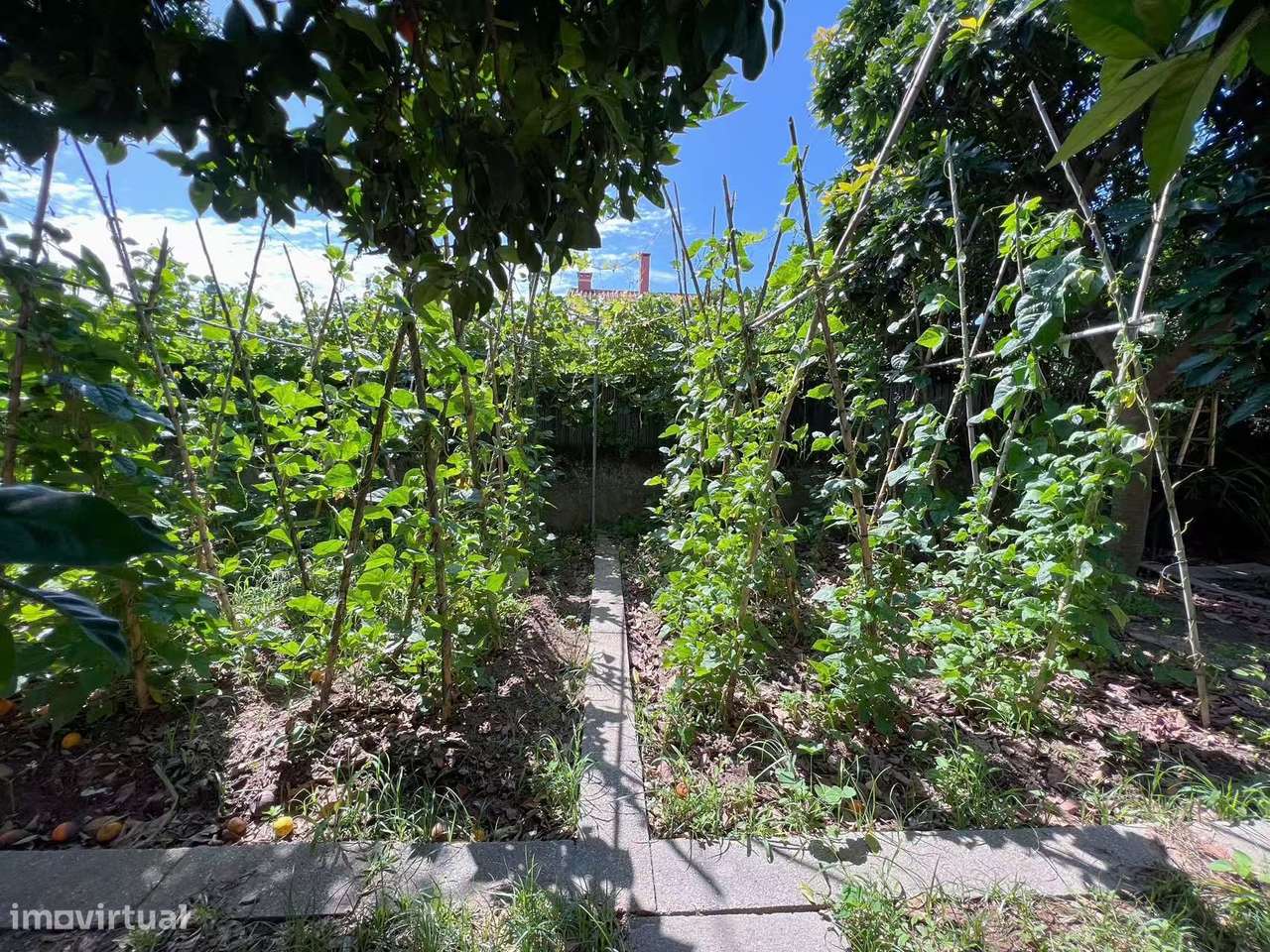 Propriedade remodelada V5 com terrenos anexos!-5