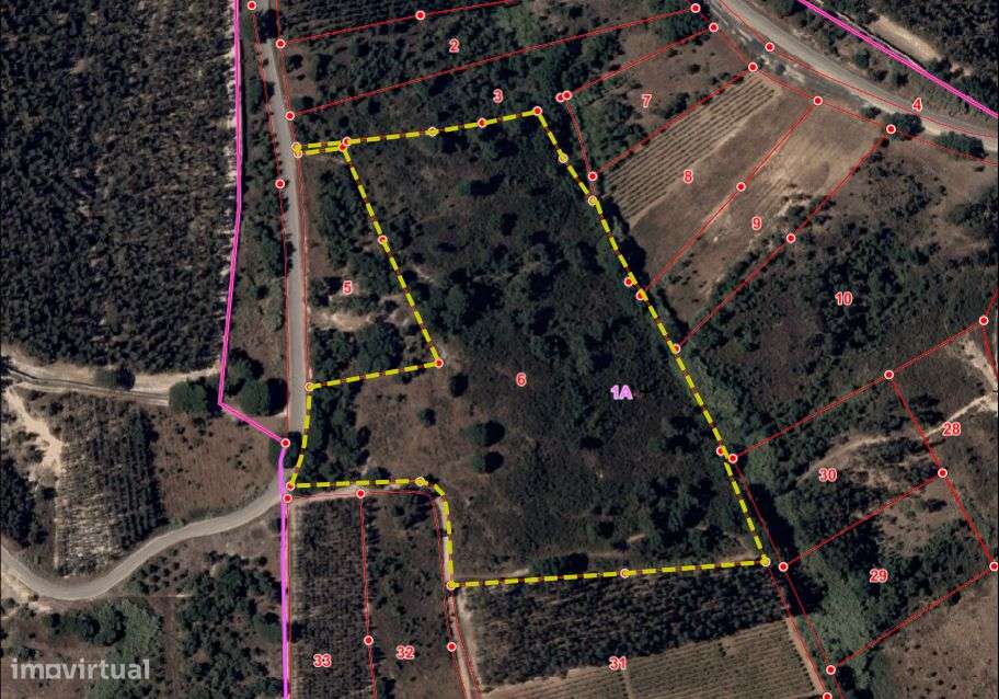 Terreno Vale Gião – Lapa 6 _ 192Cartaxo - Grande imagem: 2/2