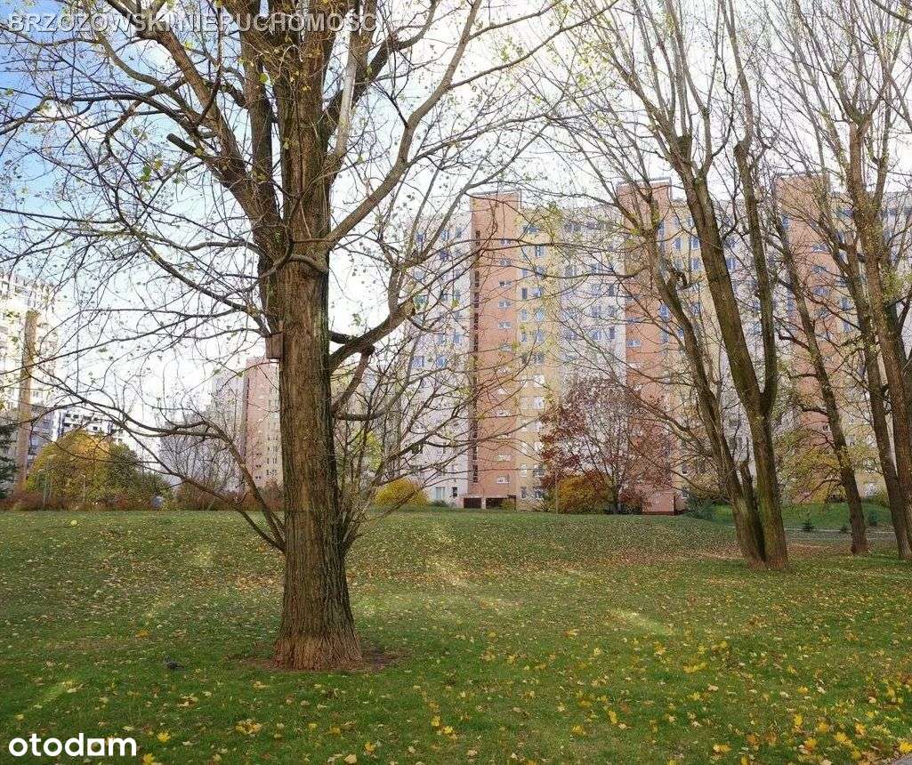 Ostrobramska, 69,6 m2, 3 pok., 1978 r.-8