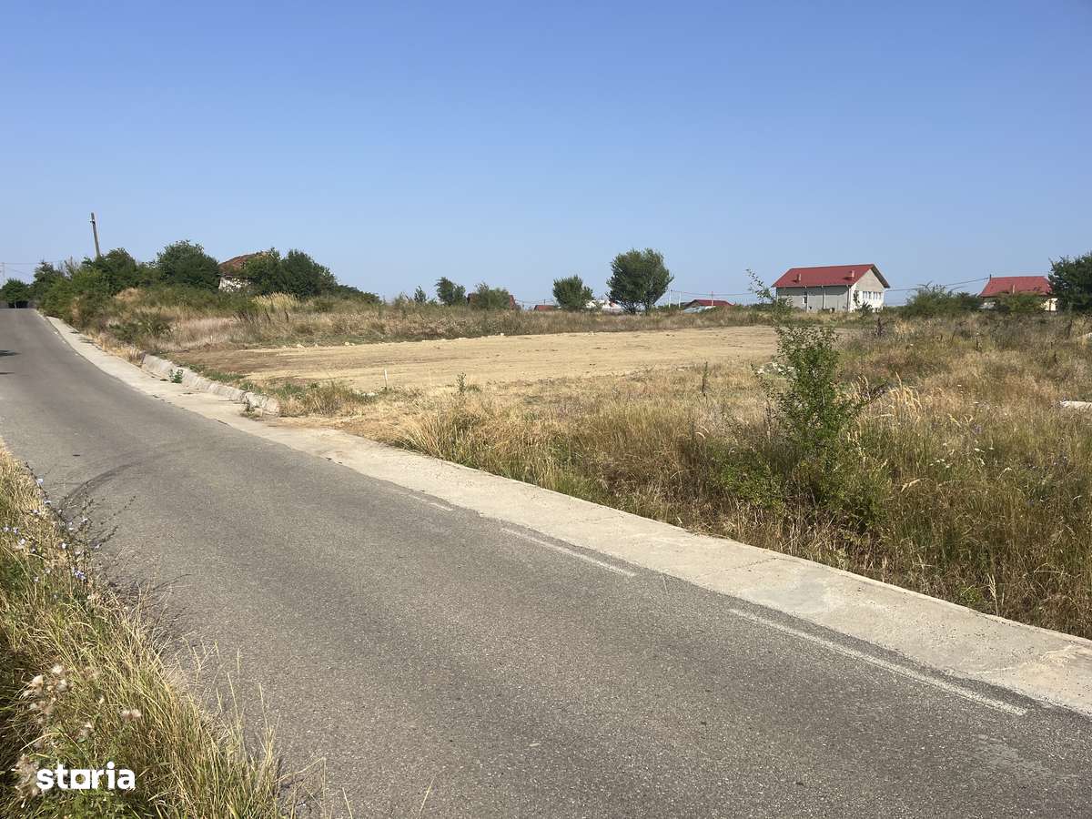 Teren 1139mp Albota-3