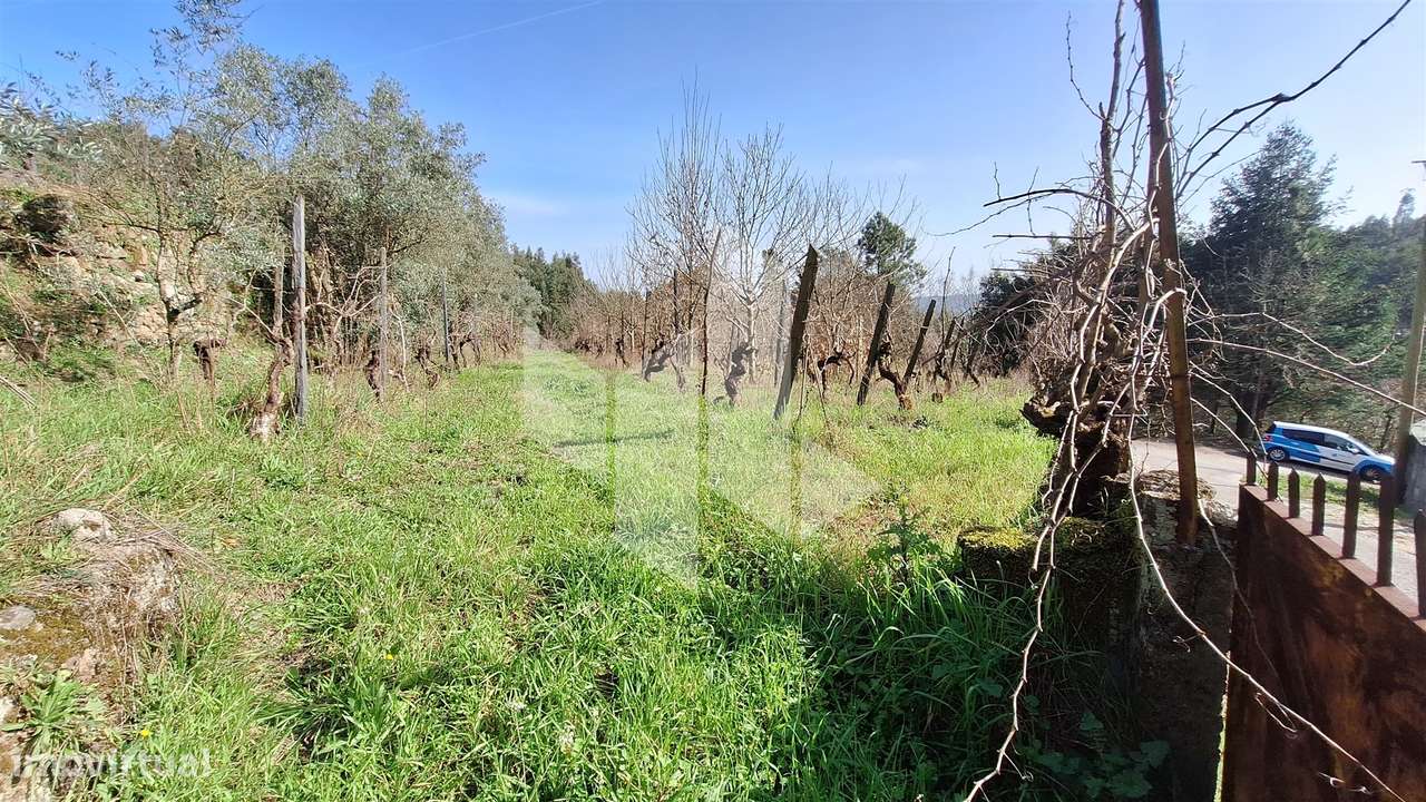 Terreno Rústico  Venda em Santiago de Besteiros,Tondela - Grande imagem: 5/23
