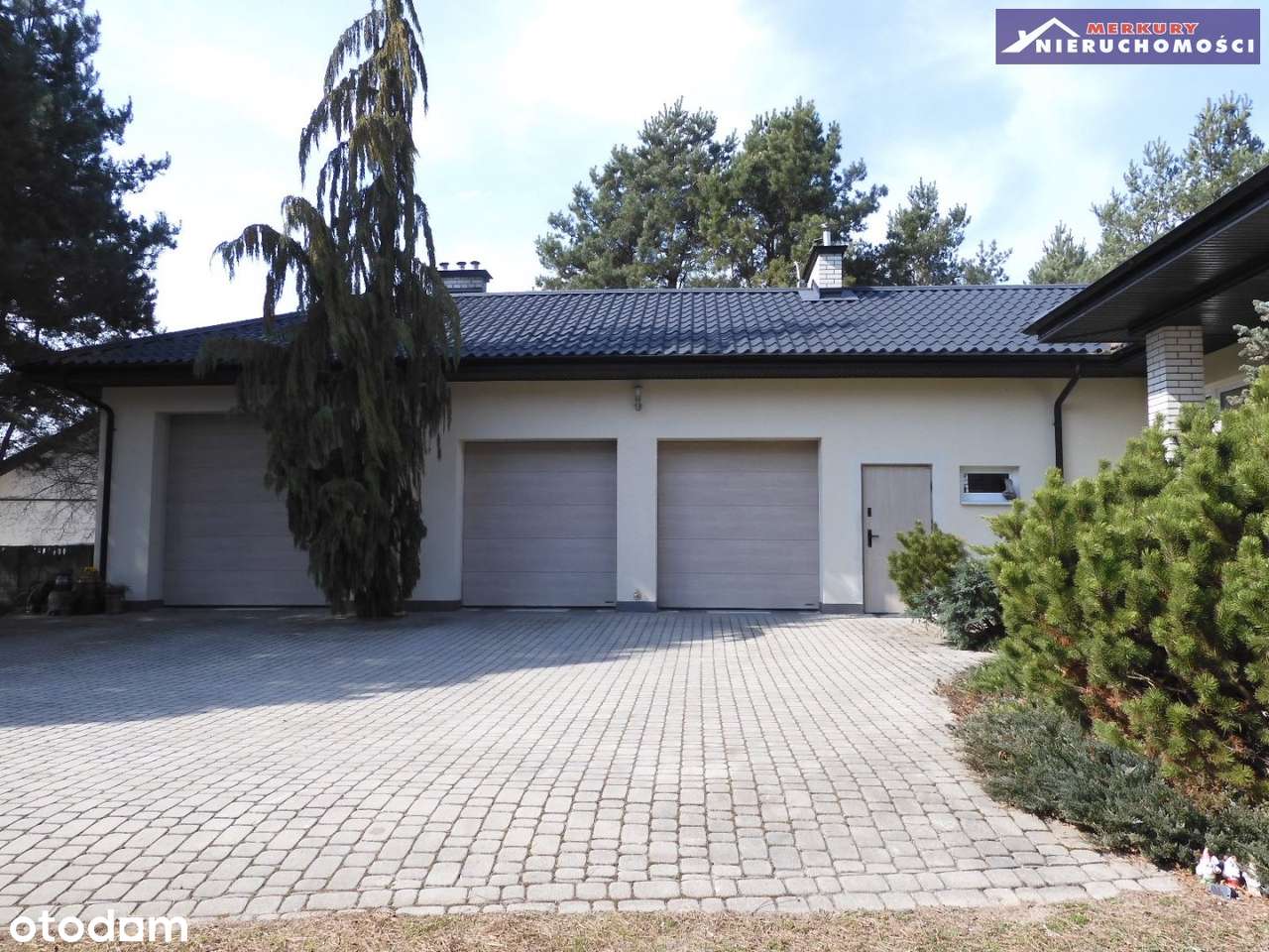 Na obrzeżach miasta. - Pełny obrazek: 5/11