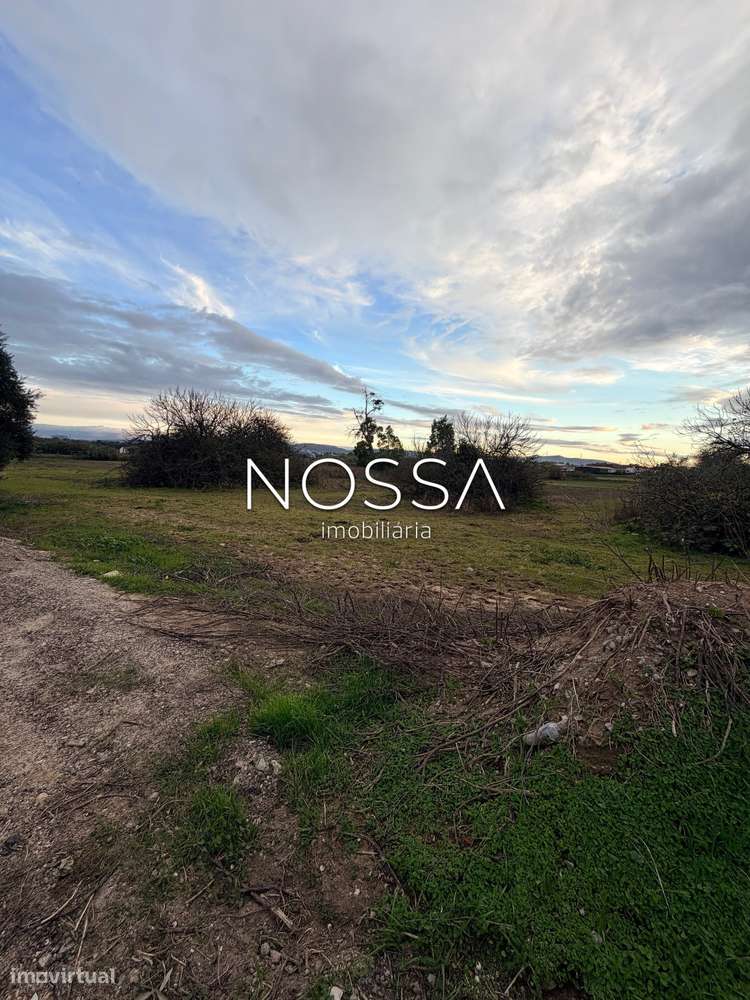 Terreno Misto de 26.520 m² na Barra Cheia – Potencial, Natureza e L...-7