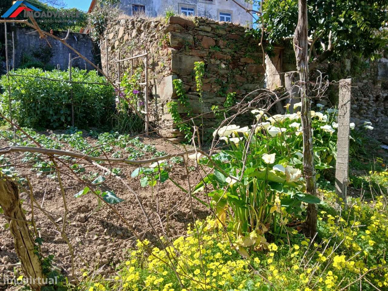 Casa para Recuperar com Terreno e Lagar em Lorvão, Penacova, Coimbra-49