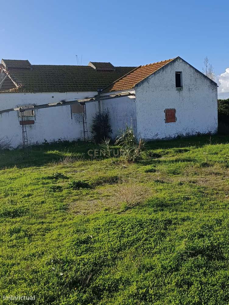 Quinta  Montijo - Jardia p/ Reabilitação c/ 14.000m2  - 3 licenças urb-5