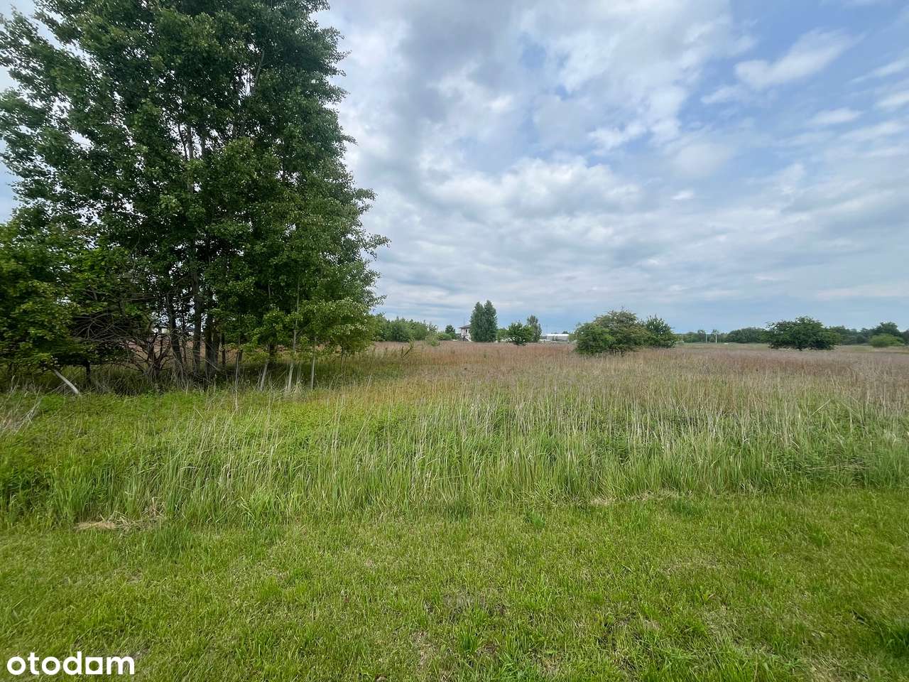 Działka z Warunkami Zabudowy - 10 domów wolnostojących lub 10 dwulokal - Pełny obrazek: 4/11