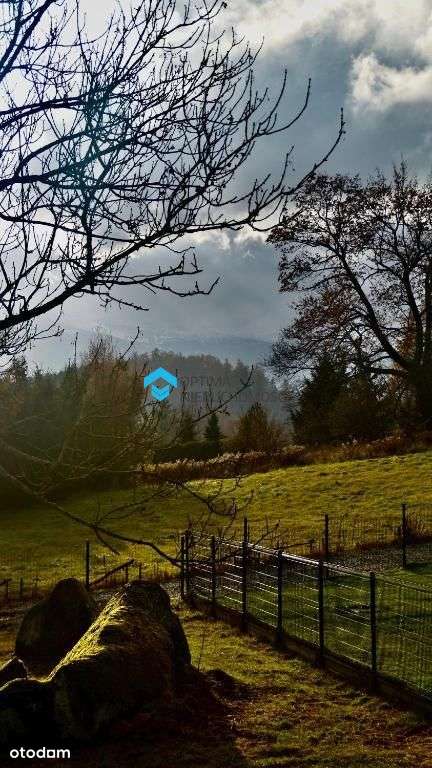 Gotowy biznes, dom dla rodziny lub inwestycja-7