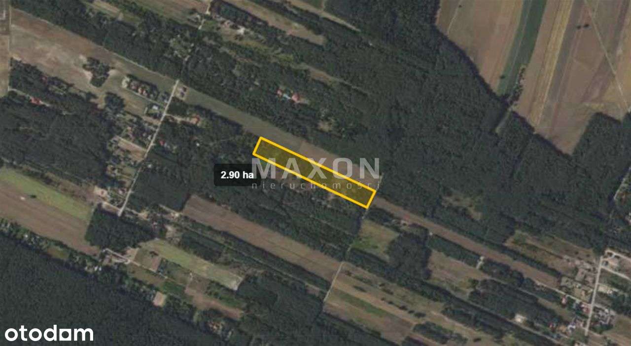 Kępiaste, działka rolno-leśna 2,8965 ha - Pełny obrazek: 5/7