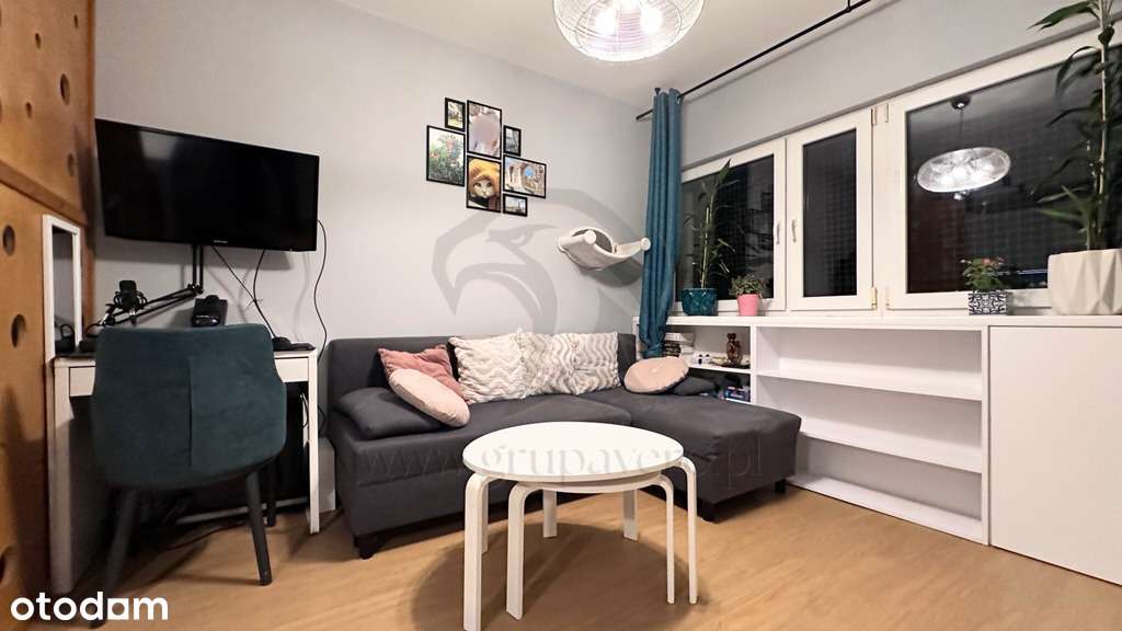 Mieszkanie, w którym kot jest prezesem-13