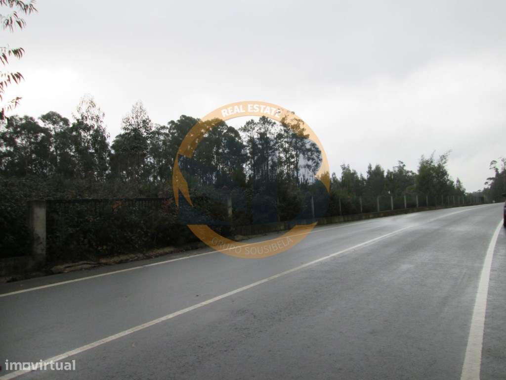 Terreno Vale de Cambra - Grande imagem: 4/4