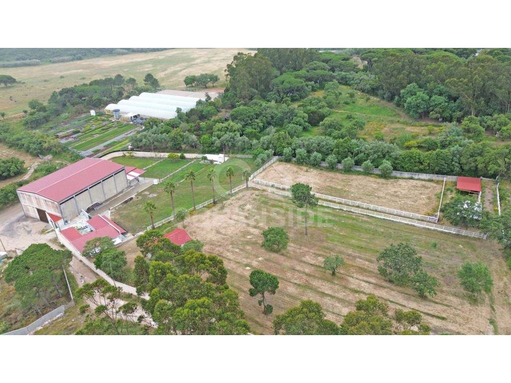 Quinta em Serradas, com terreno de 17.000m²-57