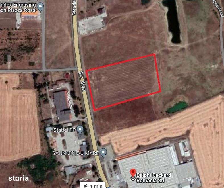 Teren intravilan 10.000 mp - Sannicolau Mare - Imagine principală: 3/6
