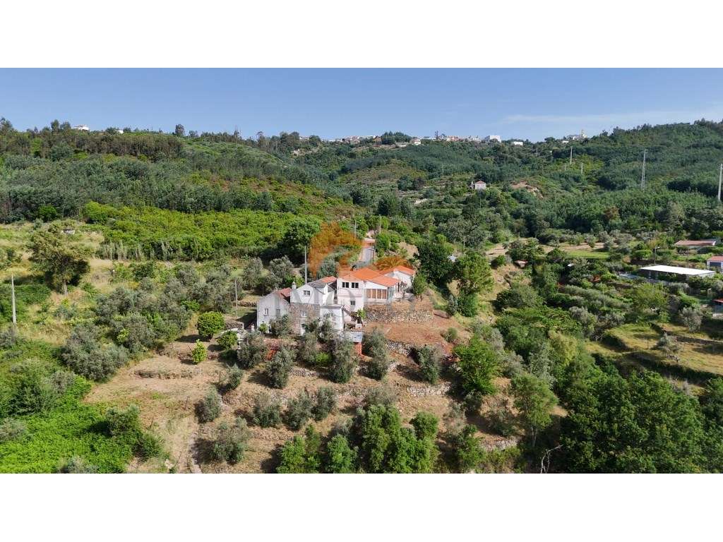 Quinta de S. Pedro em Penalva do Alva, Oliveira do Hospital-0