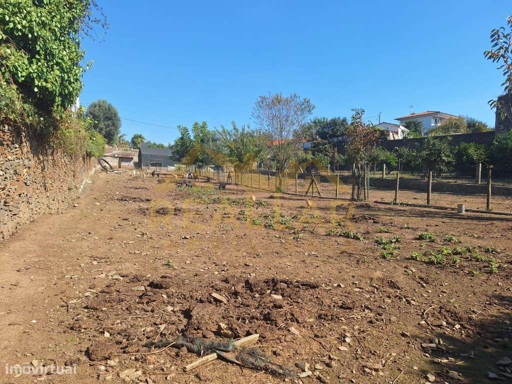 Terreno com Quintinha para Restauro em Ribeirão - Vila Nova de Fama... - Grande imagem: 5/28