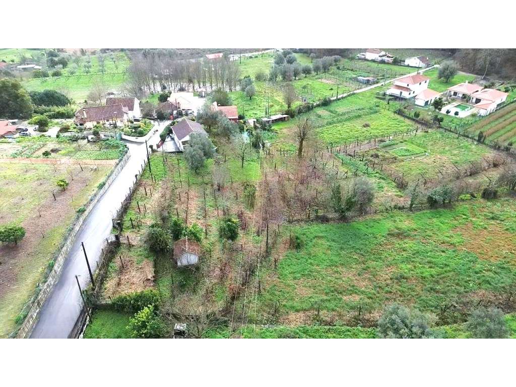 Terreno 6.280 m² para Construção com Possibilidade de Várias Moradi... - Grande imagem: 3/8