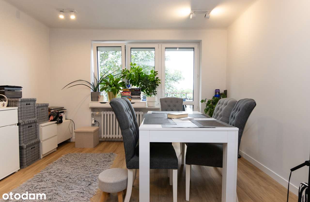 Dwa pokoje plus osobna kuchnia. Mieszkanie po generalnym remoncie.-1