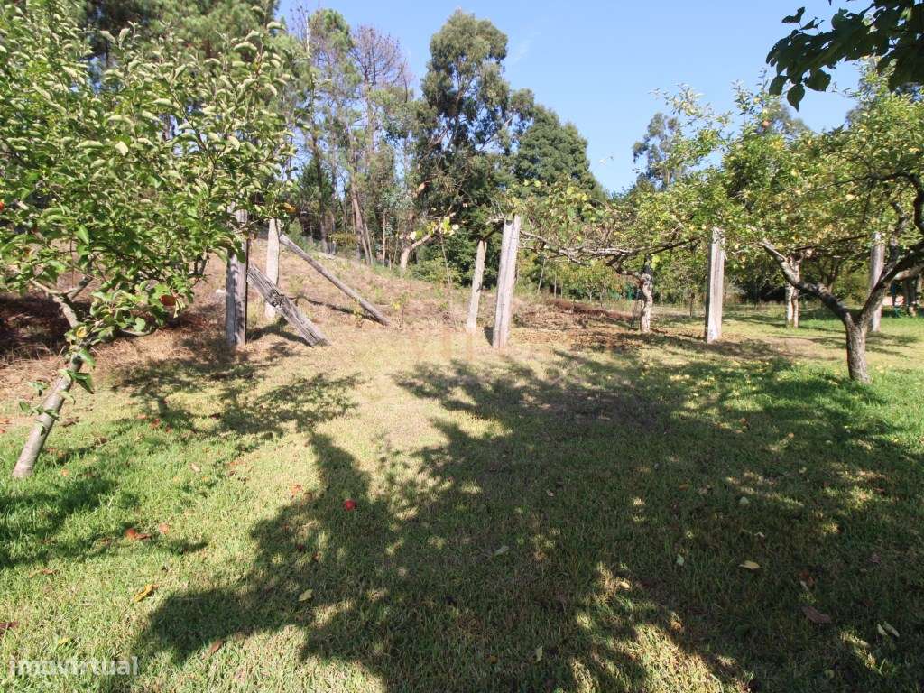 Terreno - Grande imagem: 4/13