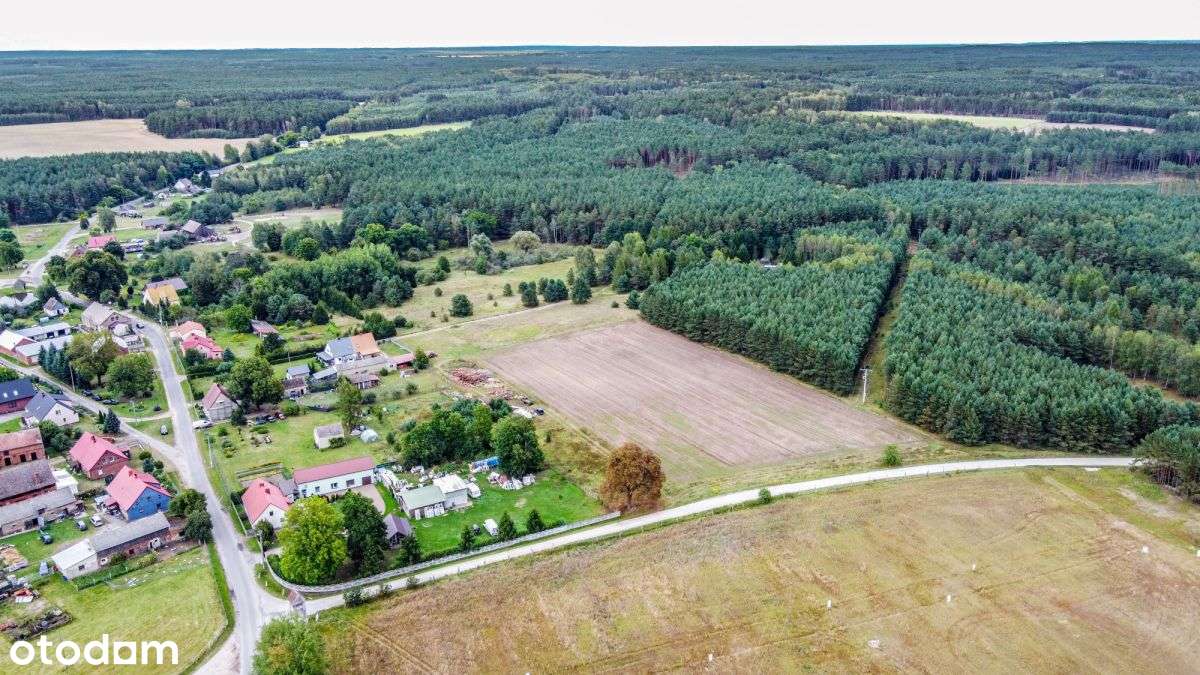 Działka 2 Ha w dobrej cenie-2