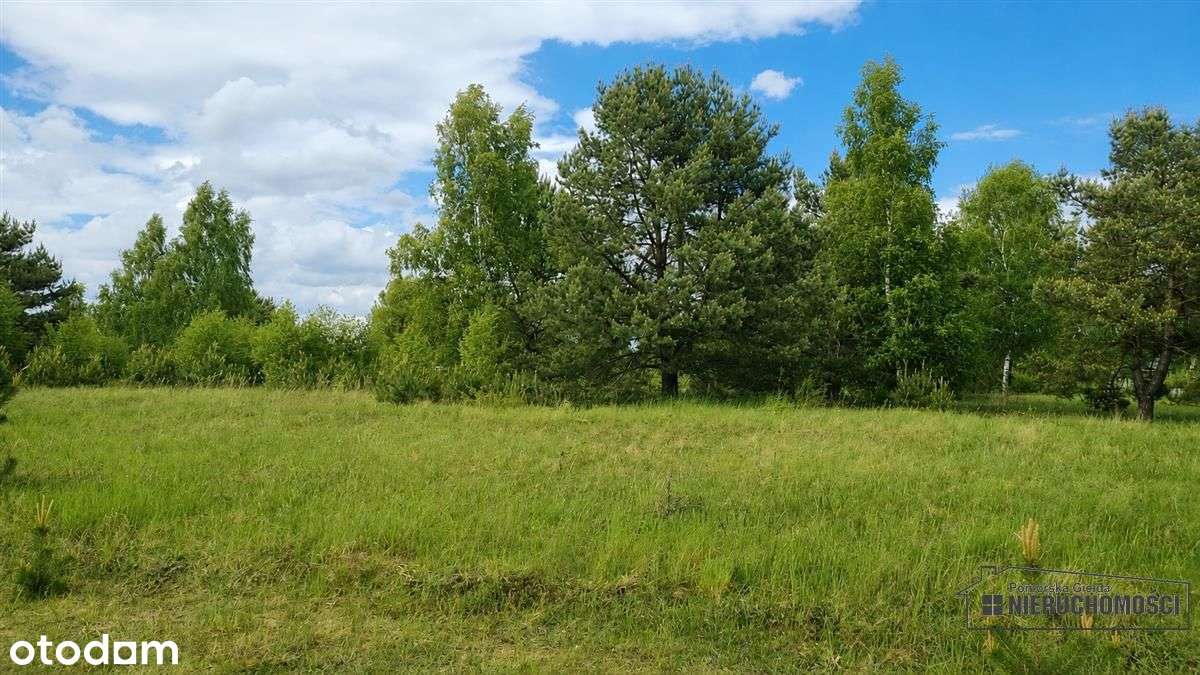 Działka budowlana nad pięknym jeziorem Dołgie.-14