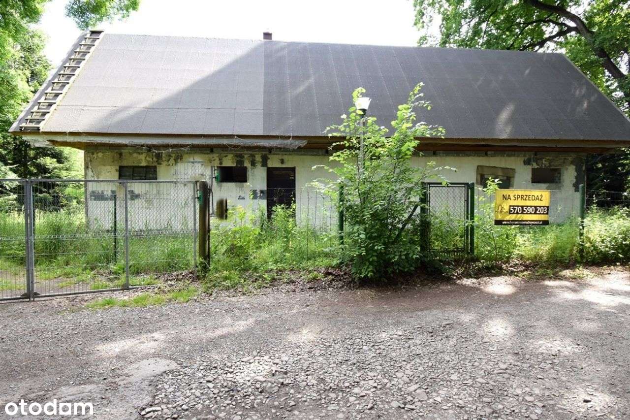 Budynek Rekreacyjny 80m2, Drogomyśl,Działka 4435m2-15