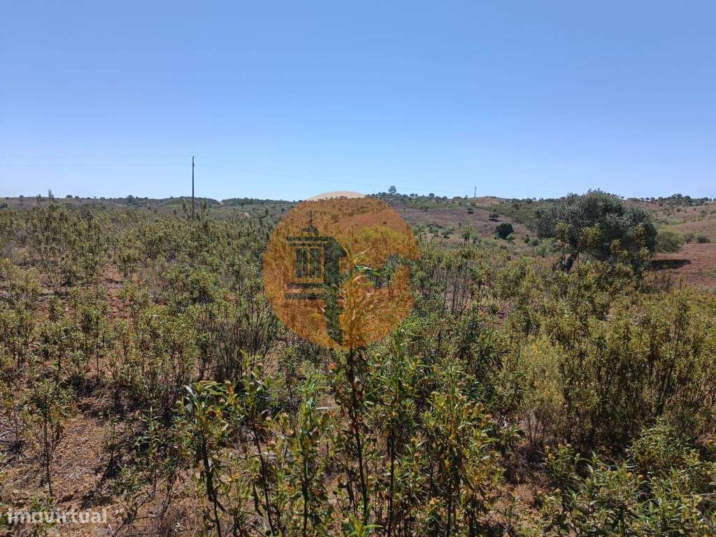 TERRENO COM 34.700 M2 - POSSIBILIDADES DE CONSTRUIR UM ARMAZEM - PR...-6