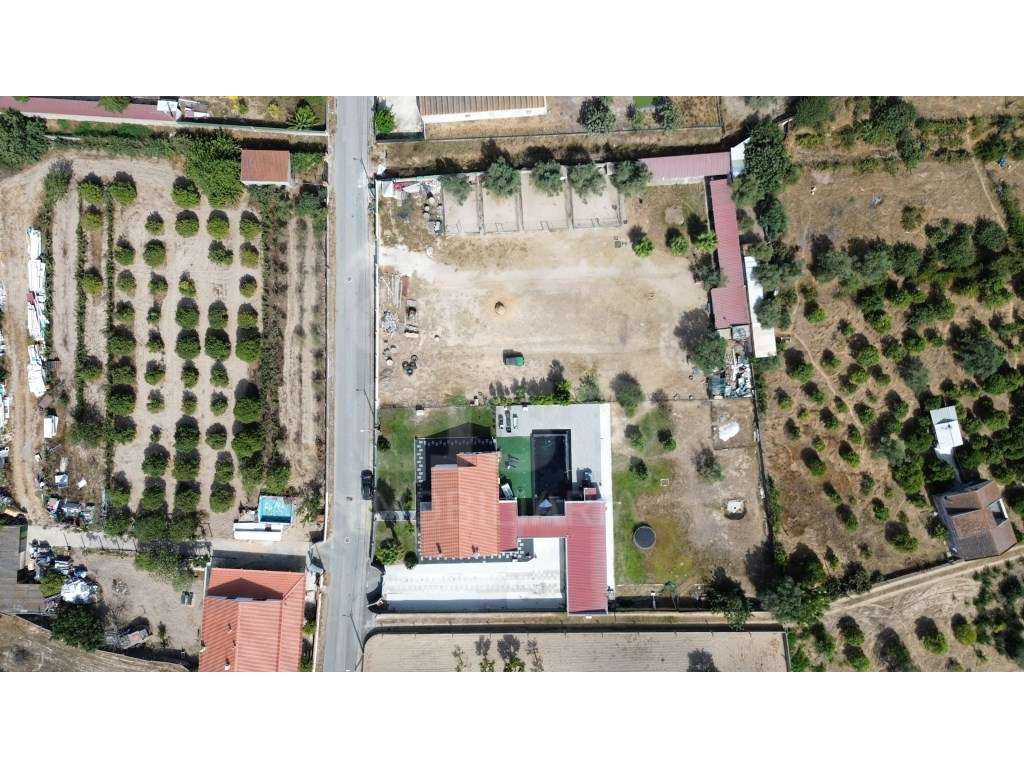 Moradia T3+1 c/ Piscina, 5.000m², Anexo, Garagem | Benavente-31