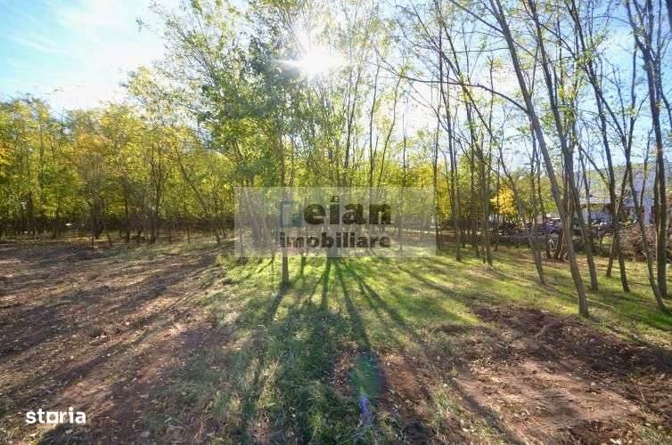 Snagov Ciofliceni Mânastire- Teren 1432 mp, d 60 m, curent gaze asfalt-5
