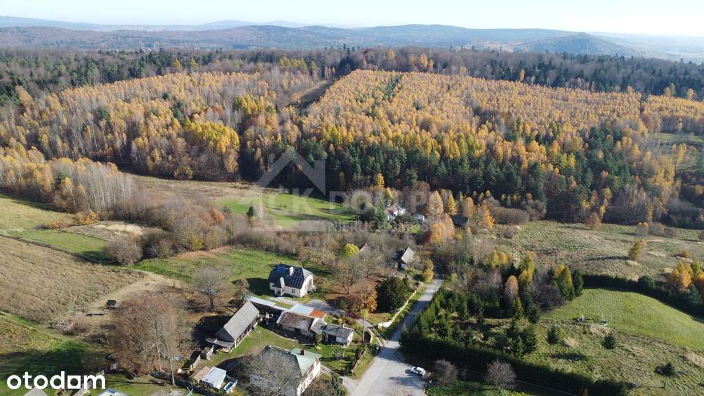 Działka na sprzedaż Cisów-4