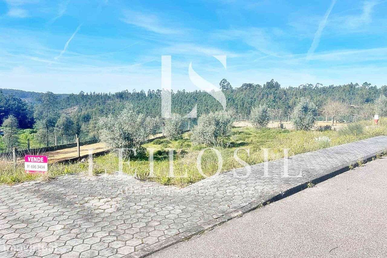 Lotes para Construção - Grande imagem: 3/16