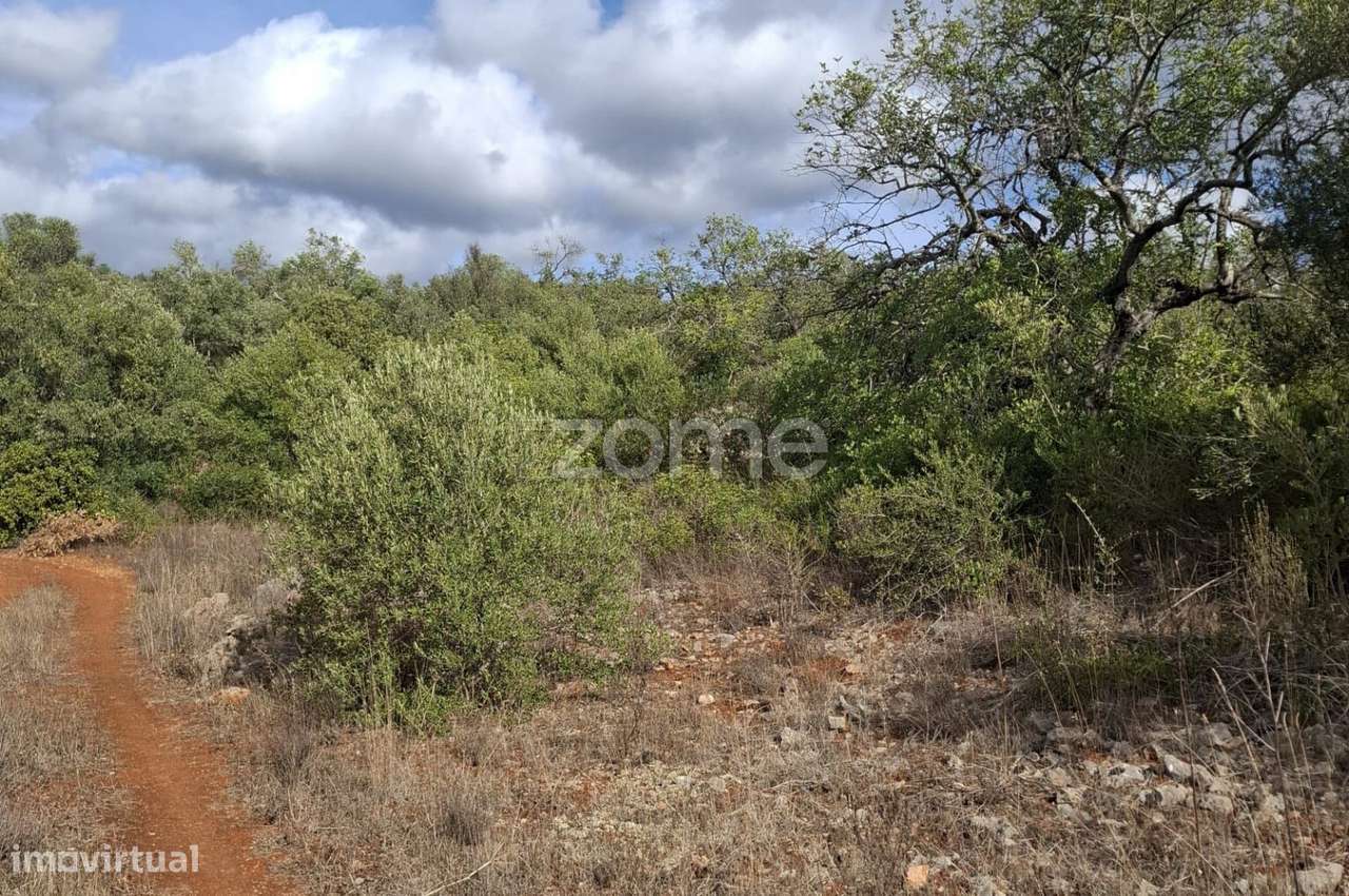 Terreno Rústico em Cerro Monte Brito com 11.460m2 - Grande imagem: 4/25