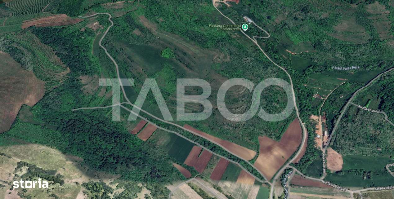 Teren extravilan de vanzare 10000 mp zona Gusterita - Imagine principală: 2/2