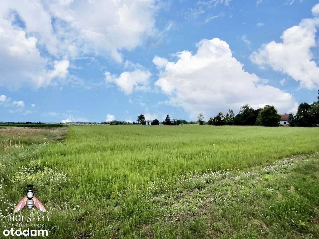 Działka Jesiona 32 ar - możliwość podziału - Pełny obrazek: 4/7