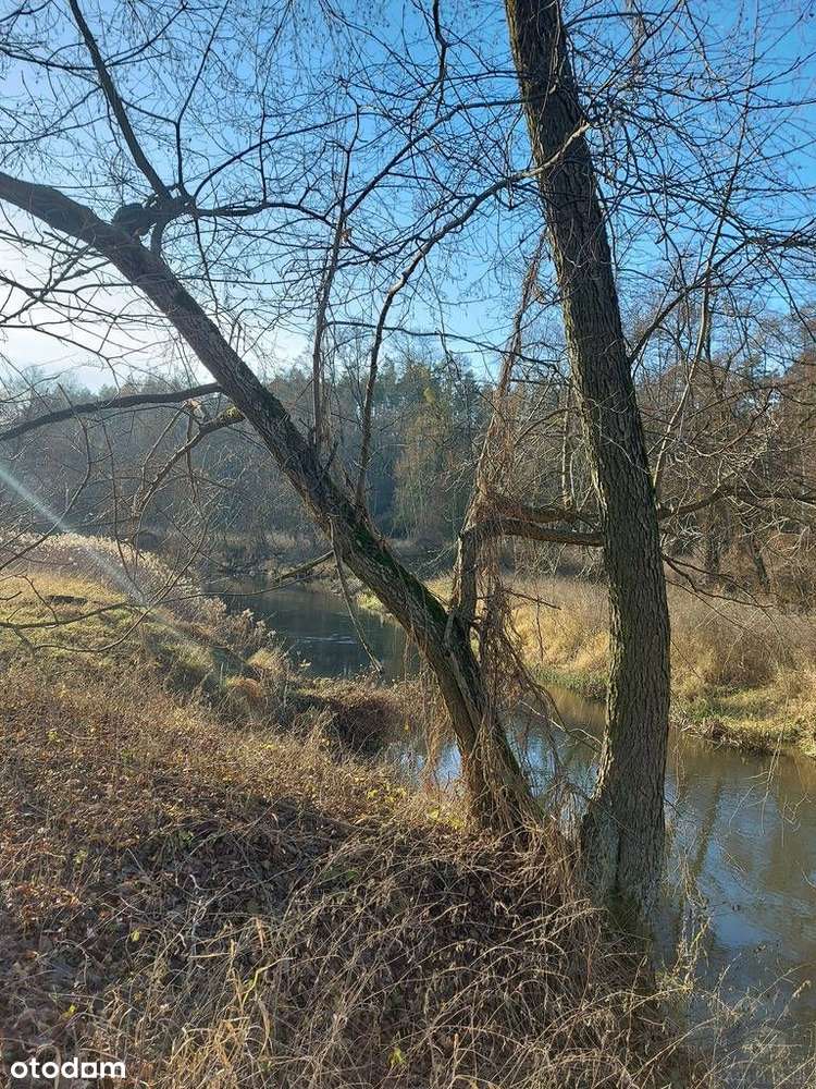 Dom, 86 m², Cieślin-12