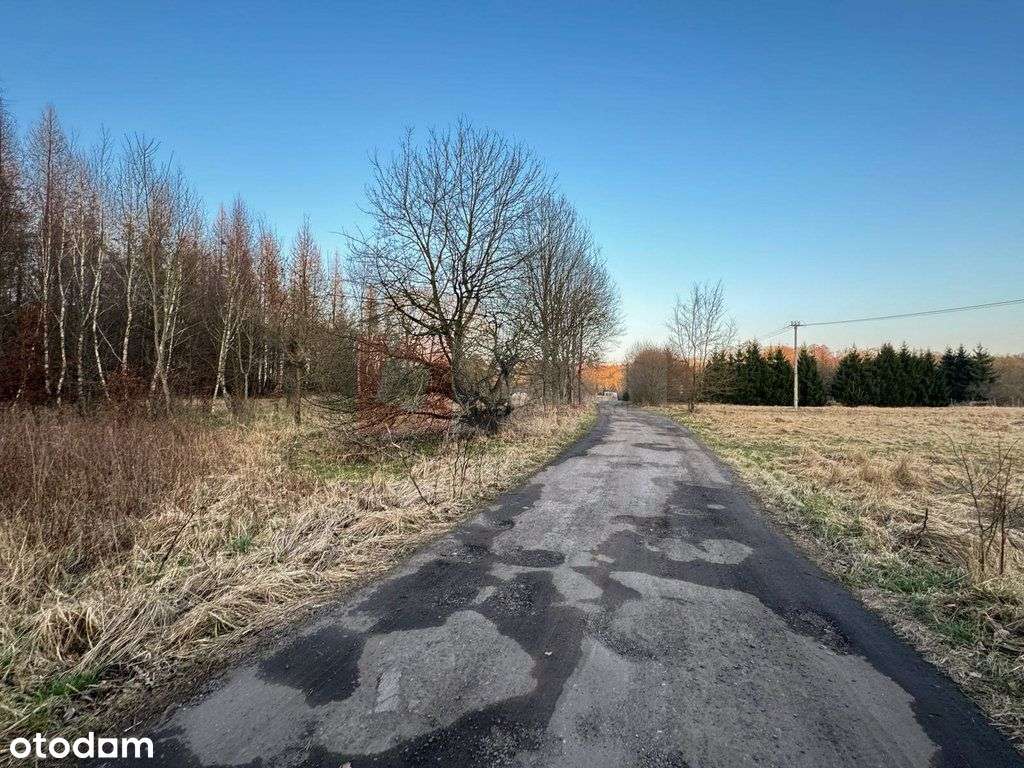 Błotny Młyn 903 m2 działka przy lesie na sprzedaż!-0