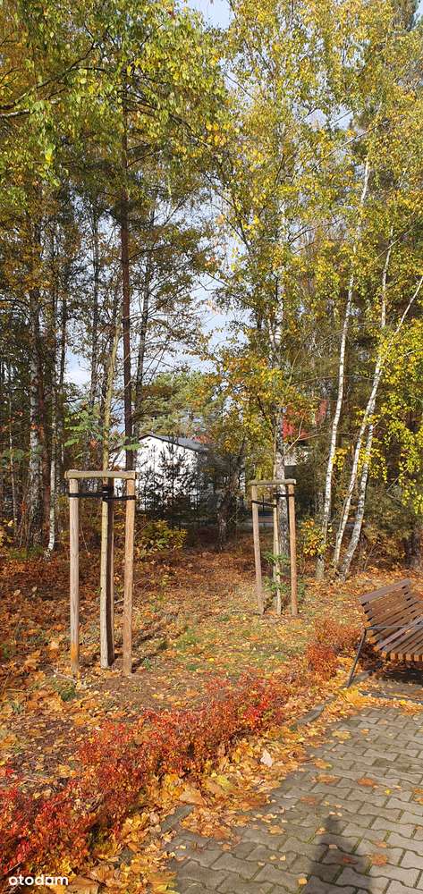 Działka narożna w spokojnej okolicy. Blisko szkoły, przedszkola i lasu - Pełny obrazek: 1/9