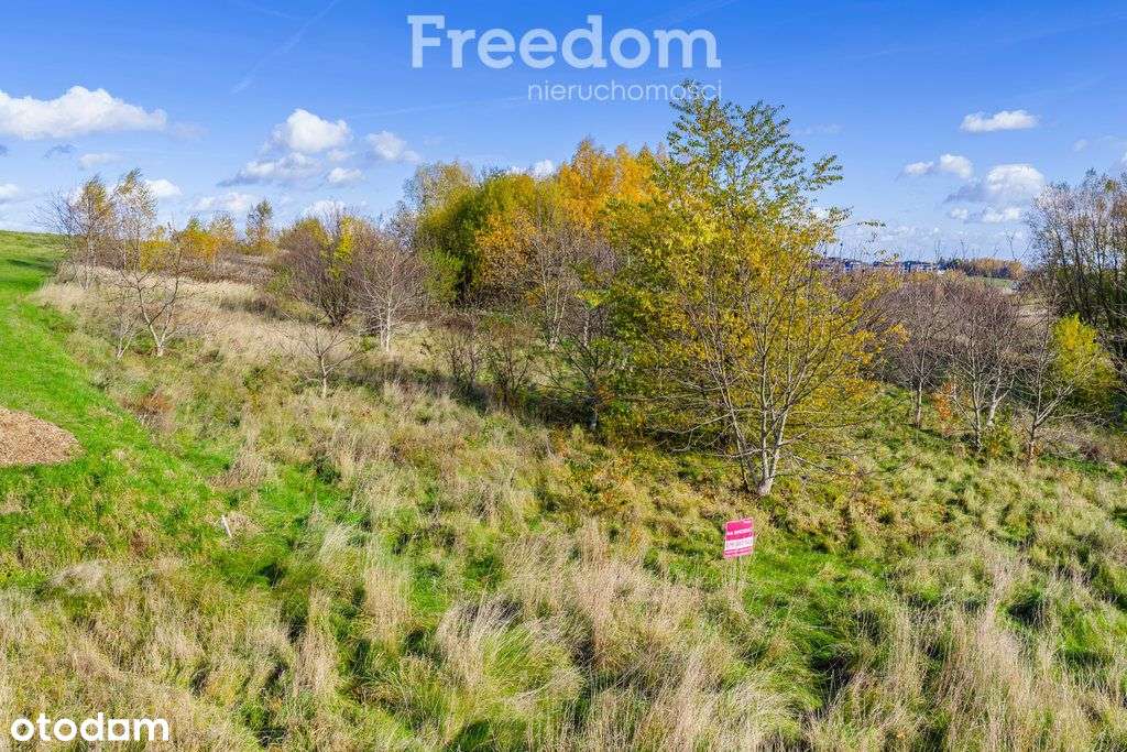 55a z potencjałem budowlanym przy granicy Rzeszowa - Pełny obrazek: 5/12