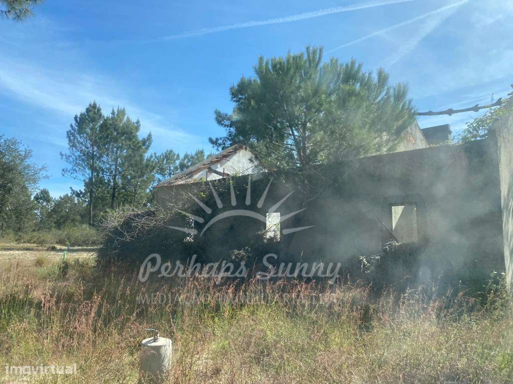 Quinta com Projeto Aprovado para Construção de Habitação - Melides - Grande imagem: 4/26