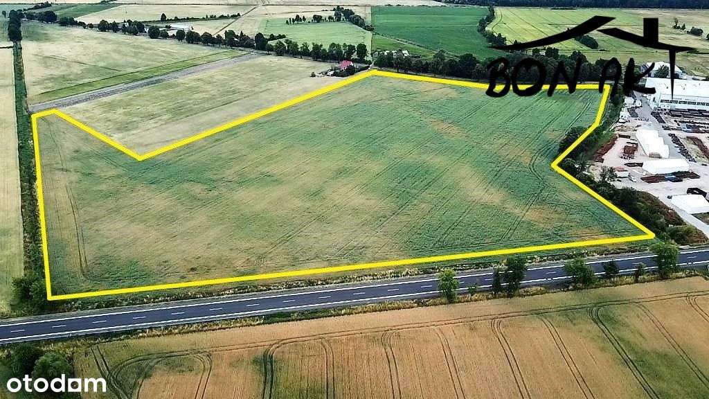 Grunty przemysłowe przy S-11 możliwość - Pełny obrazek: 4/4