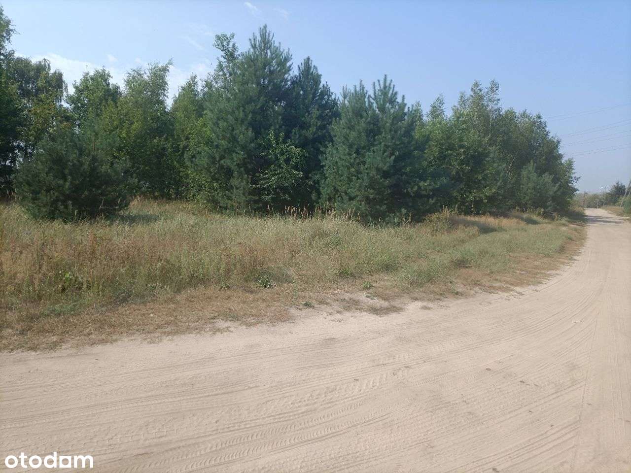 Działka Czapury, ul. Rydzowa, przy lesie, WZ - Pełny obrazek: 3/3