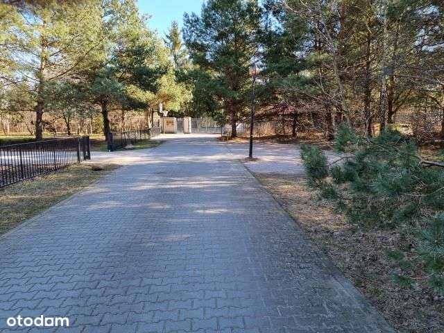 Działka, 2 600 m², Strzeniówka-4